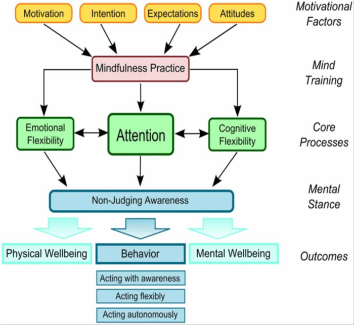 Mindfulness for emotional regulation